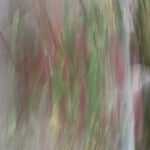 2B60AB9A-01C8-409B-871D-377432F7620E.jpeg