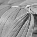 d1d1d5d4-147e-4622-8215-a4a62d257fea.jpeg