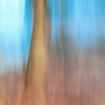 3A88A0F3-EF4C-44A4-999E-BF06FA5C27A6.jpeg