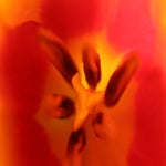 d9dc04fe-1457-4340-8b69-cb8a08117533.jpeg