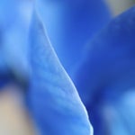 71A6818A-17D3-476D-A1F3-CCED0AC2BD76.jpeg