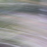 335DB168-9A08-40C5-92B3-8335BDCC67EA.jpeg