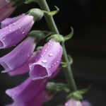 5973A69A-04A2-4729-BC33-2495424DF3C7.jpeg