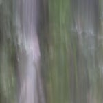 6E7F7BD8-60F1-4FCB-8DE0-26A39116CFE7.jpeg