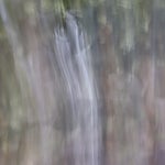 F6490922-206D-47FD-8D5A-344F7142922D.jpeg