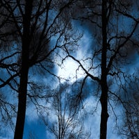 img_1937.jpeg