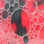 424C32C0-72D3-4F72-88C9-A395E1DE17F8.jpeg
