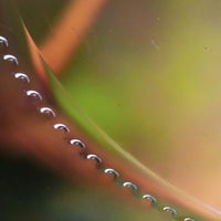 64ff6231-70de-41dc-98ee-702f810444a2.jpeg