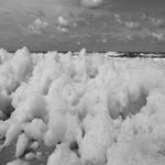 92386CE8-3238-417A-8D87-C8CD326586A9.jpeg