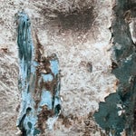 FBAAB753-E229-41CF-AA41-B5949C84EFD1.jpeg
