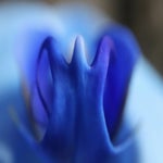B30ED186-71DD-4AC3-B820-C9DAE0410672.jpeg
