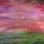 687054BE-267C-46F5-BB24-7AC2010D5800.jpeg