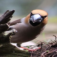 img_2486.jpeg