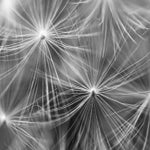 12b7a584-cee7-443f-84a4-aaada54d559c.jpeg