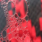 8312103B-CAAE-452A-A0E6-53E193473605.jpeg