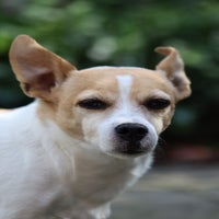 img_2129.jpeg