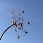 da8cb749-fd4e-498c-9d17-6379fffa9804.jpeg