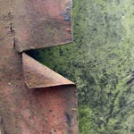 D0962029-1771-439C-8DEF-71F16AABAA88.jpeg