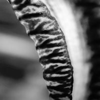 07694f8a-6529-48fd-b0e7-d33c89758c8b.jpeg