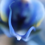 A7FFE08E-5303-4F97-833B-5B24ED3C13E0.jpeg