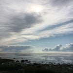 9246CE51-C56E-4803-B756-B4888720C72F.jpeg