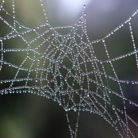 3623e9ba-1aa4-4126-89bc-f0aaf76914b3.jpeg