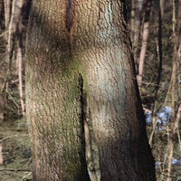 550a815d-9464-48d8-a247-375c2c8c31cb.jpeg