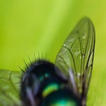 ef6729c1-c24e-4429-b169-86094cc7bb30.jpeg