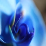 D6F2D4FD-8B31-4967-86D4-C81FA784F6A0.jpeg