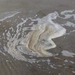 7548afb4-a532-44fe-aa1d-8cad24364aad.jpeg