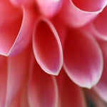 3B1635CF-80A5-4742-A779-CA3740032D2D.jpeg