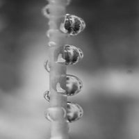 3be74b36-8a4c-430a-8471-d249189bd1a8.jpeg
