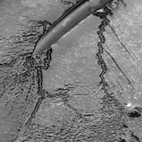 img_2014.jpeg