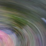 F5B055D2-E831-4C1F-9F12-A47EB2DD7A53.jpeg