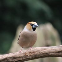 img_2659.jpeg