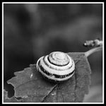 D748029F-5C79-4244-B2CA-BD9F6B06C461.jpeg