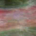 8C289025-5B03-4576-A100-5D6F9874AB47.jpeg