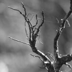 30444cca-4e25-4754-a1ad-761b9115d661.jpeg