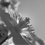 983EBF92-E2AC-4299-B5F7-00C65BF8DB2E.jpeg