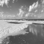 F12D04CB-553B-490A-AF9A-71600F222C06.jpeg