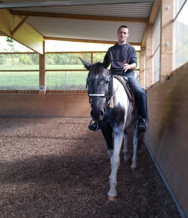 Einzelstunde Reitunterricht Erwachsener