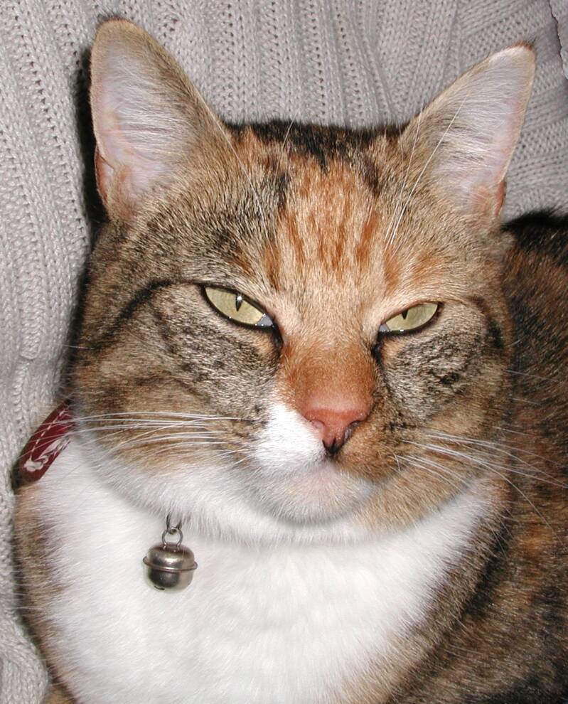 11-9-01-moeps-2-standard.jpg