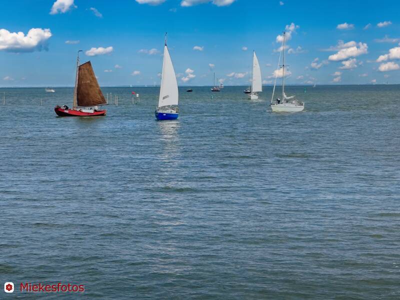 2025-08-08-ijsselmeer-per-boot-4-standard.jpg