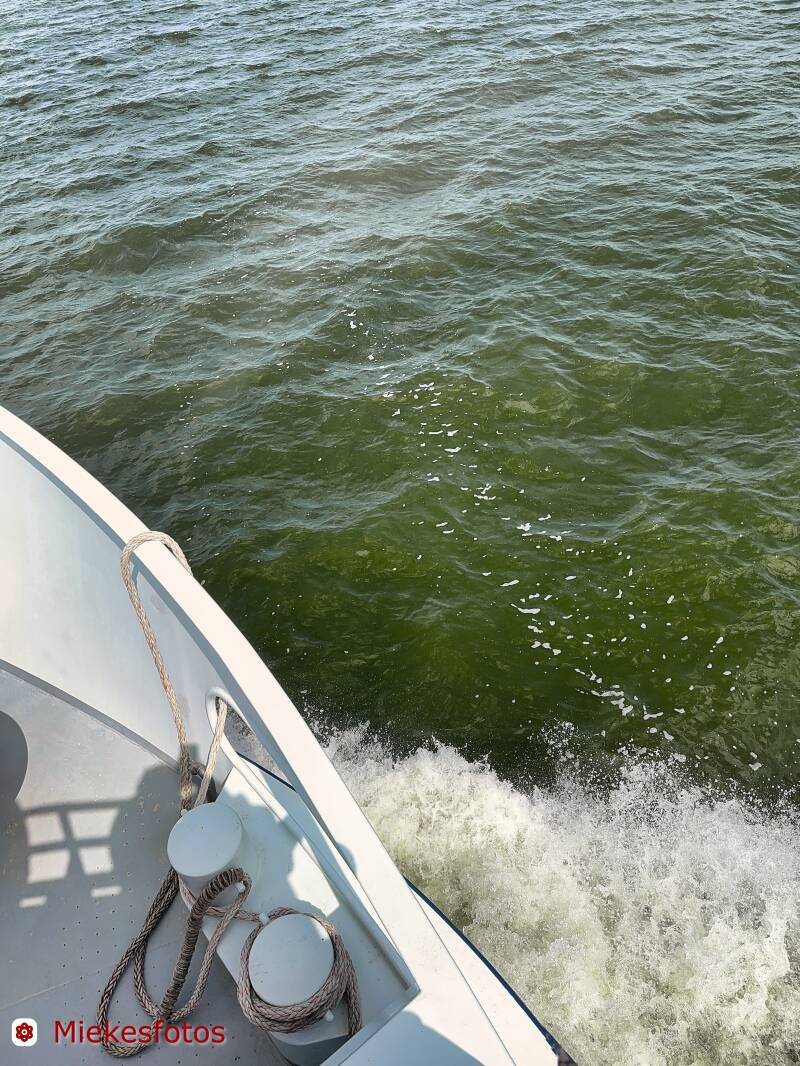 2025-08-08-ijsselmeer-per-boot-9-standard.jpg