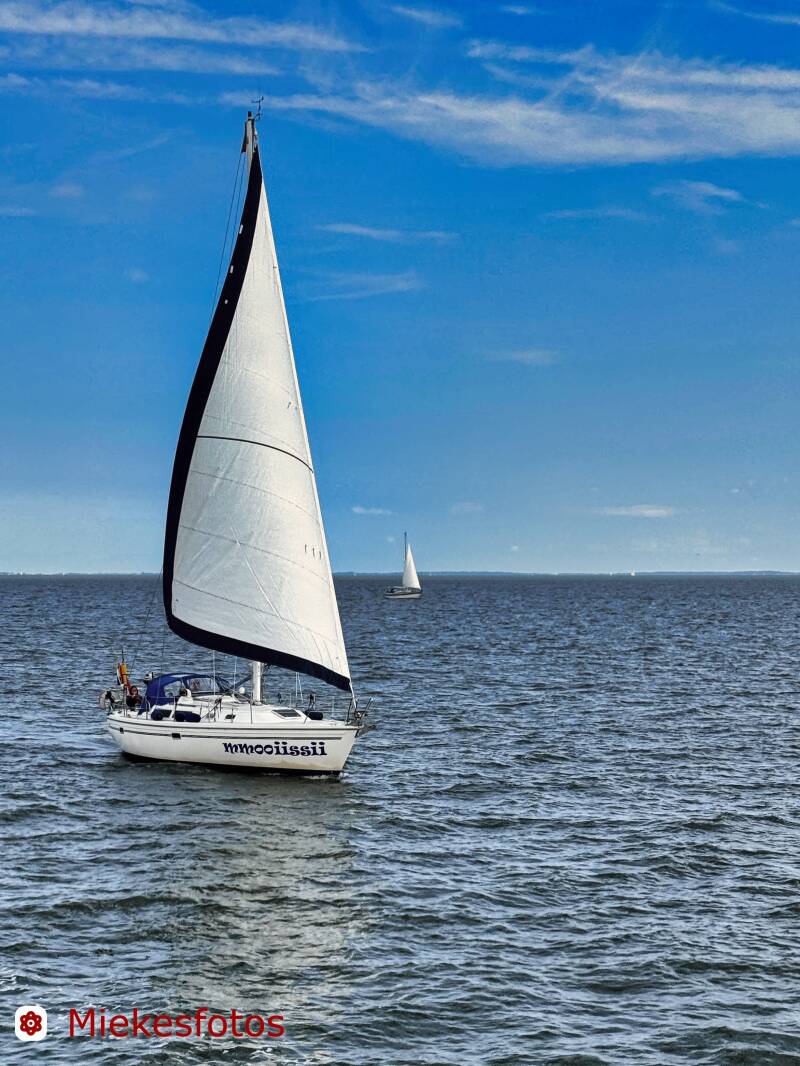 2025-08-08-ijsselmeer-per-boot-moo-is-ie-standard.jpg