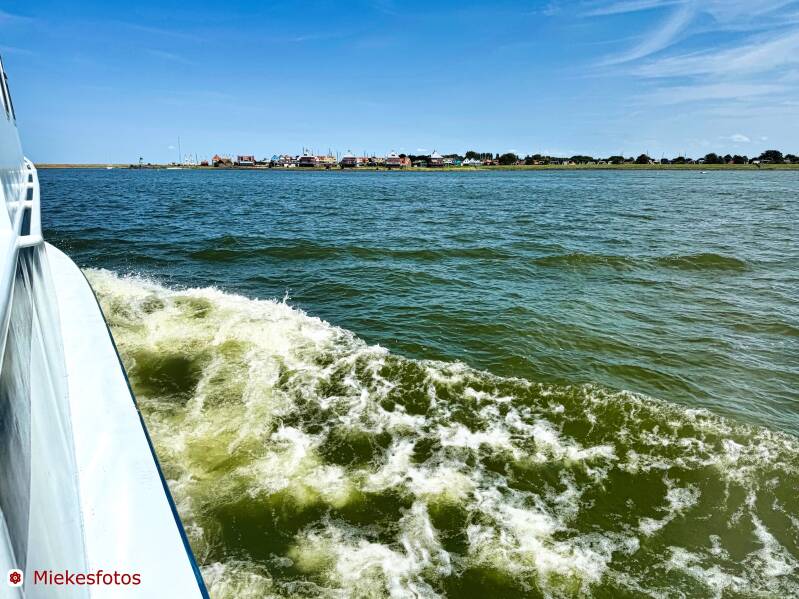 2025-08-08-ijsselmeer-per-boot-stavoren-standard.jpg