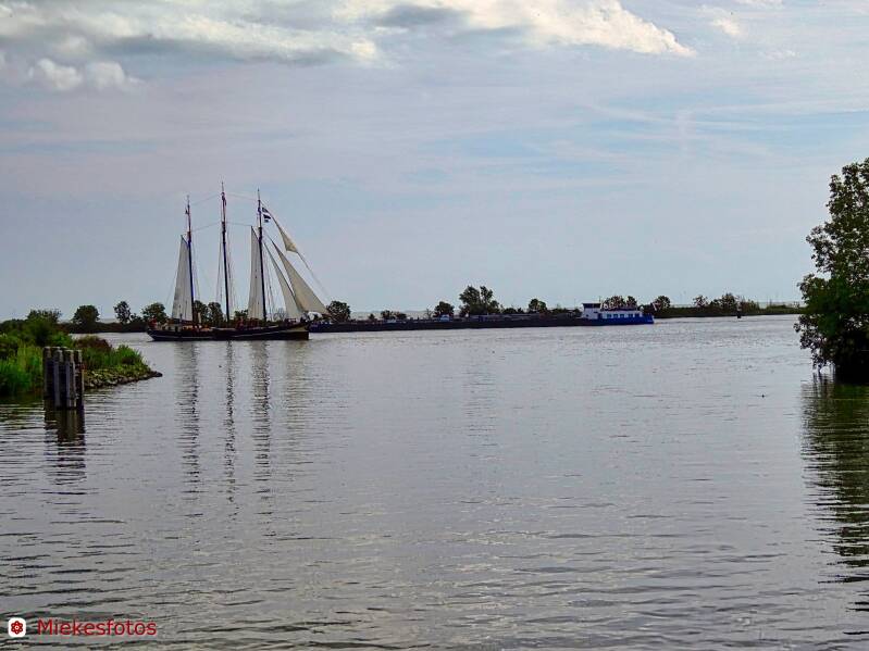 2025-08-08-medemblik-3-standard.jpg