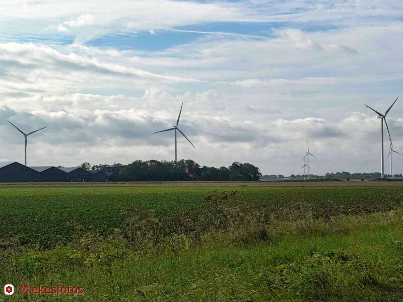 2025-08-08-wieringerwerf-1-standard.jpg