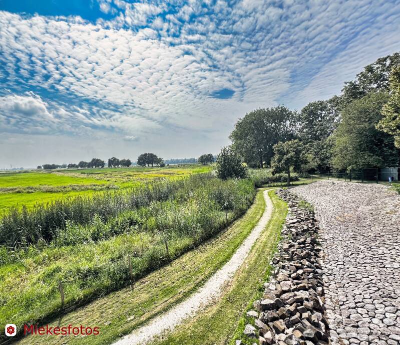 2025-08-09-schokland-10-standard.jpg