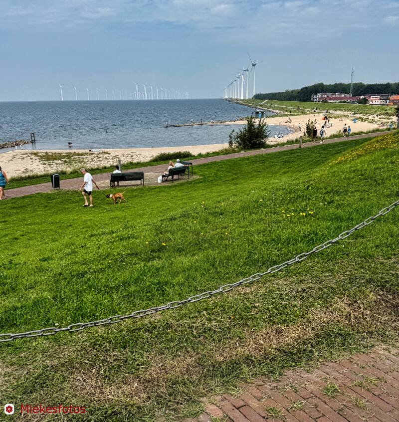2025-08-09-urk-5-standard.jpg